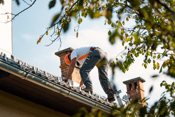 Roof Moss and Algae Removal in Rouse, CA